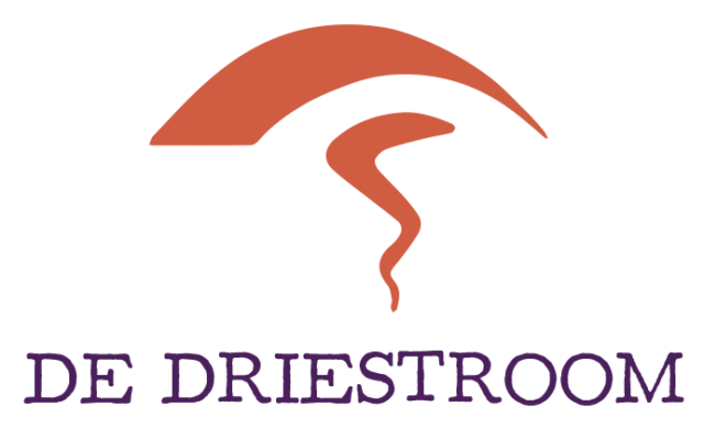 De Driestroom s Hertogenbosch